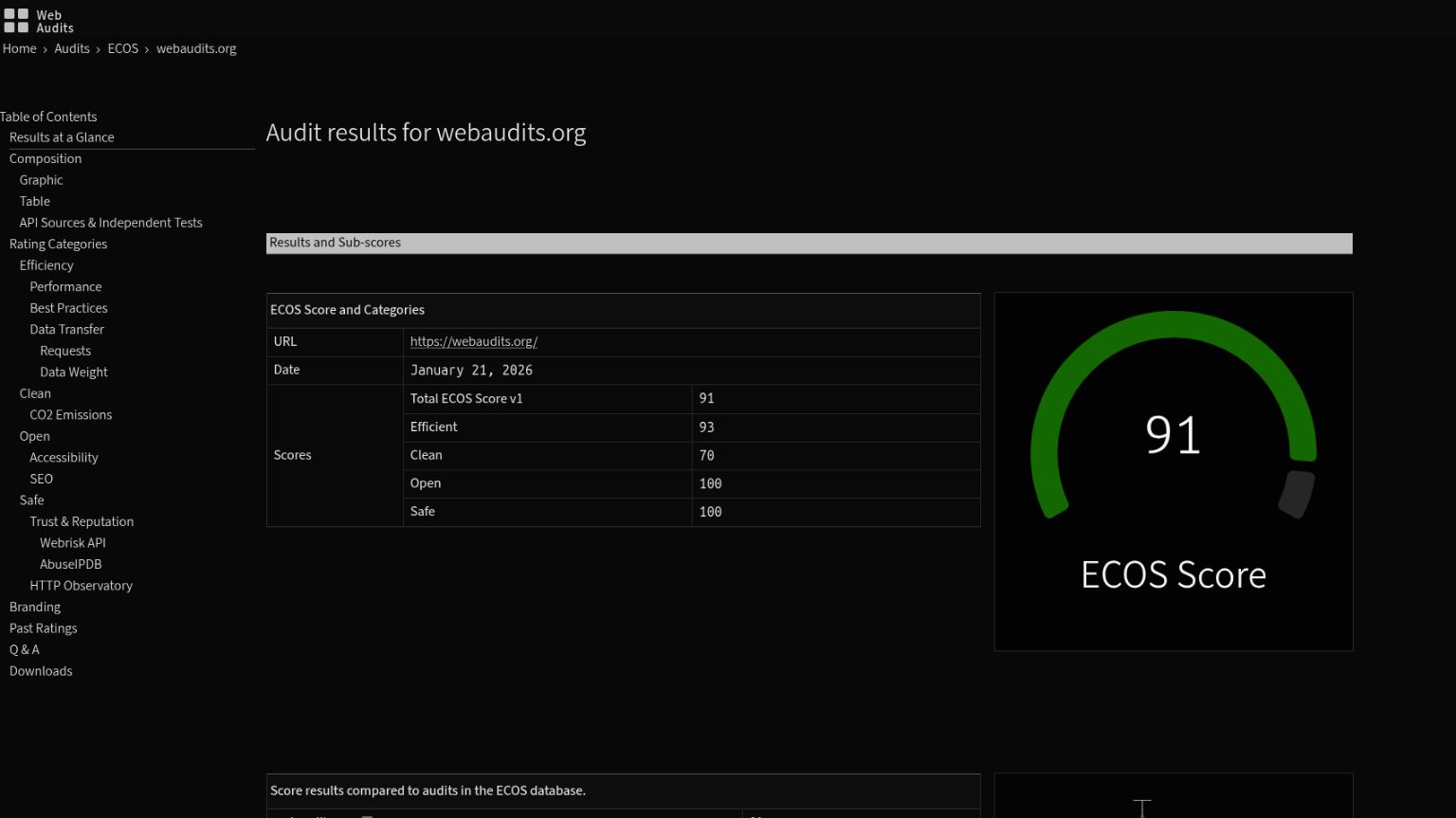 Screenshot of the summarized audit results.