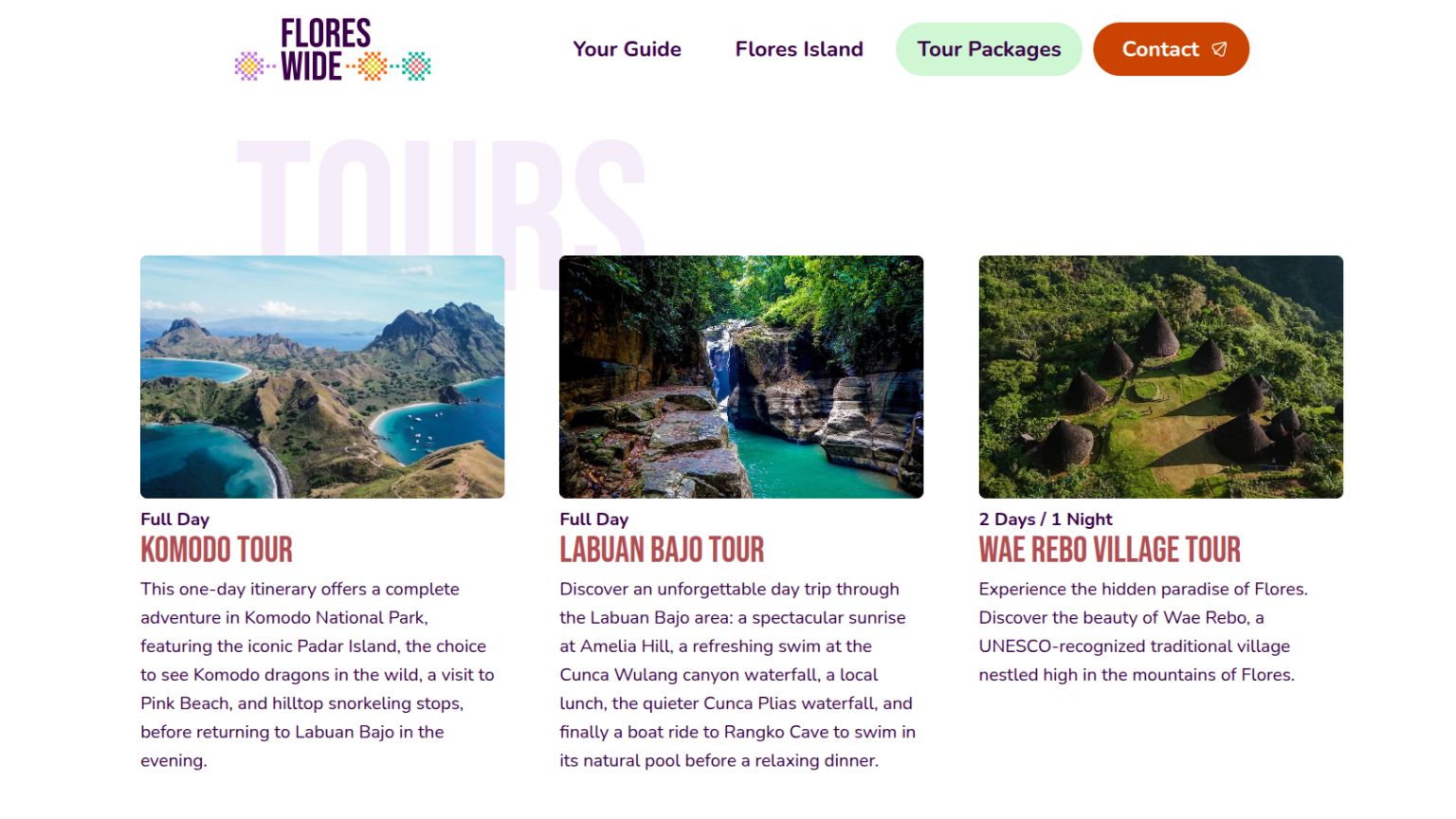 Tour packages overview with a large watermark heading and three tour cards: Komodo Tour, Labuan Bajo Tour, and Wae Rebo Village Tour, each with photo, duration, and description